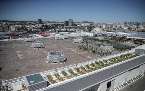 PARÍS. Una vista aérea de todo el espacio ocupado del huerto. Apenas es una parte de la gran explanada que comprende el techo del recinto ferial, pero se aspira que en dos años esté 100 % productiva.