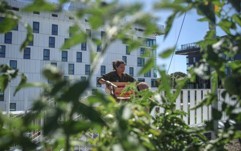 PARÍS. El huerto de alta tecnología, que implementa técnicas de cultivo innovadoras en aeroponía e hidroponía, fue instalado por las empresas Agripolis y Cultures en Ville.