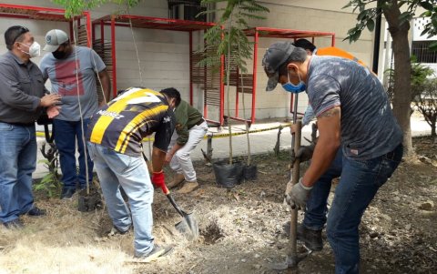 Hecho. Miembros de la universidad y ambientalistas sembraron las especies en los exteriores de la facultad de Arquitectura.