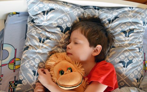 Los niños de edad escolar  necesitan dormir mínimo 10 horas.