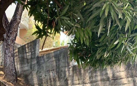 Hecho. Personal de la dirección de Obras Públicas acudieron a las estructuras.