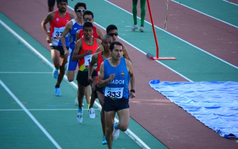 Piedra registra dos medallas de plata y un bronce en cinco intervenciones en Juegos Panamericanos. La mejor actuación fue en Guadalajara 2011, plata en los 1.500 m.