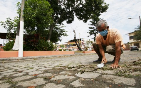 Los vecinos mantienen limpio el parque y sus alrededores. Evitan que haya maleza incluso en el piso, entre los adoquines o las veredas.