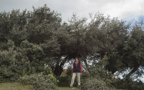 Las investigaciones en el campo de la Botánica hechas por Katya Murrieta abordan las plantas de la zona alta andina y los páramos.
