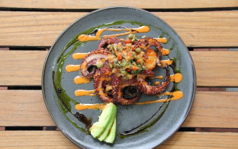 Pulpo grill