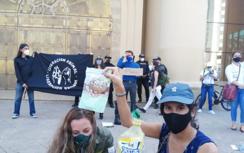 Elementos. A la actividad acudieron activistas e integrantes de movimientos sociales.