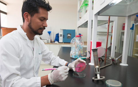 El Instituto de Microbiología de la USFQ ha realizado secuenciación de cepas del SARS-Cov-2 y pruebas de diagnóstico, con autogestión y recursos propios.