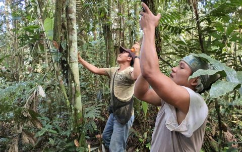 Selva. Los comuneros recurren a la pesca y la cacería para contribuir a la alimentación de sus familias.