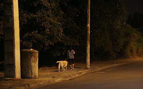 Entorno. Quienes se atreven a salir a pasear con sus mascotas,lo hacen bajo ese escenario. Oscuro y desolado.