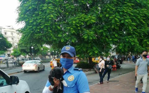 Venta ambulante. Este fue el cachorro que iba a ser vendido en la avenida Olmedo.