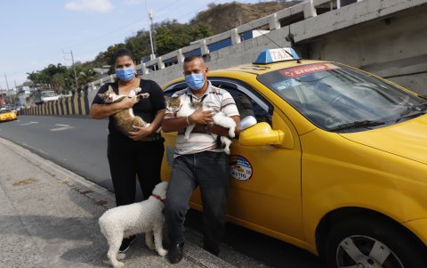 Hecho. Sonny y su esposa no tienen hijos por decisión propia. Son mascotas son los engreídos de la casa.