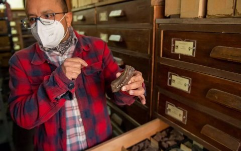 Con paciencia de relojero, remueve el material que recolectó entre 2009 y 2012.