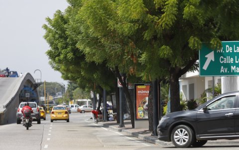 Hecho. En la avenida de Las Américas son varios los tramos que se han visto afectados por este problema.