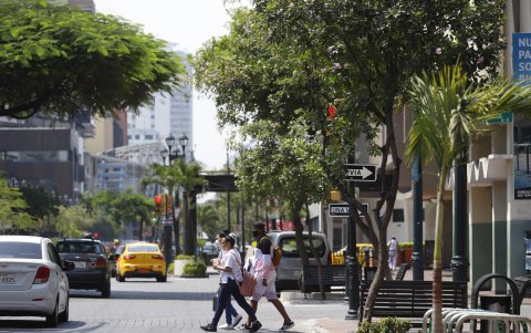 Consecuencias. El hecho de que los conductores no puedan distinguir los letreros, ha dado cabida a accidentes de tránsito y contra los peatones.