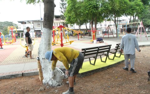Acción. Los troncos de los árboles y diversos espacios fueron pintados por los vecinos.