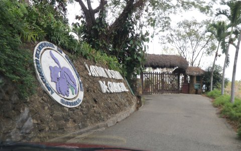 Sitio. El Jardín Botánico permaneció cerrado desde marzo. Mañana abrirá sus puertas.