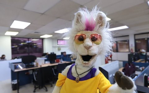 El títere es una llama y luce un atuendo juvenil.