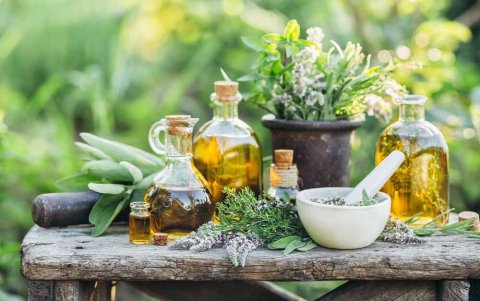 Las plantas tiene el poder de curar malestares como el dolor abdominal, gases y flatulencias.