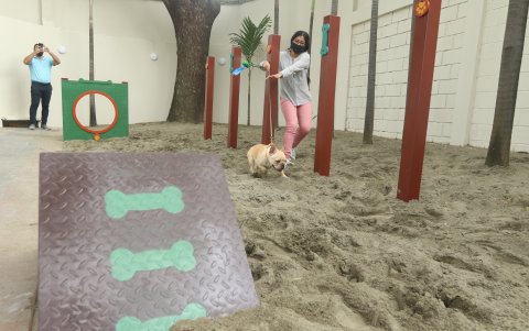 Parte de los juegos que se han instalado para mascotas en la cancha de agilidad en la urbanización La Puntilla.