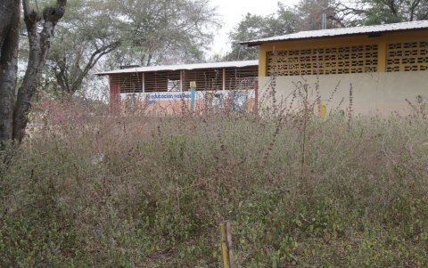La escuela Luz y Progreso, del recinto La Isla, está rodeado de maleza que lo ha convertido en criadero de mosquitos.