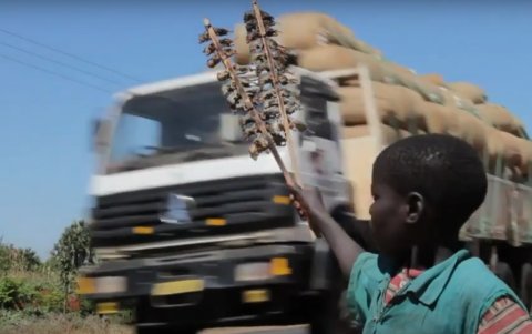MANJAWIRA. A lo largo de los 320 kilómetros de carretera que separan Blantyre y Lilongwe, principales ciudades del país, decenas de vendedores proponen a los viajeros brochetas de carne de roedor.