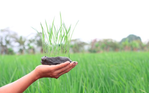Los materiales se adaptarán a las diversas condiciones ambientales.