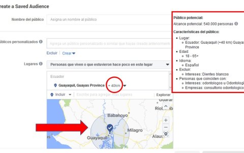 Creación de públicos.