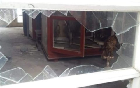 Aunque el museo estaba cerrado desde hace años, los daños en las ventanas son indicios de la forma en que desaparecieron algunos bienes.