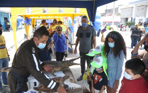 La Unidad de Protección del Medio Ambiente dio a conocer el trabajo que ejecuta en la Policía.