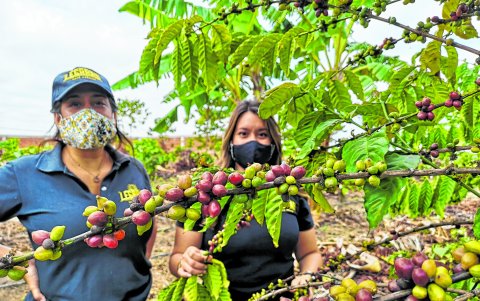 Descendientes. Denisse Bustamante junto a su hermana, Carolina, en la hacienda de Santa Elena.
