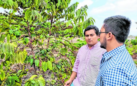 Herederos. Jorge y Askley Delgado pretenden modernizar algunos de los proceso de fabricación.