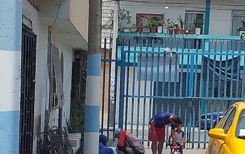 Los vecinos pintaron veredas y bordillos, y también recolectaron los desechos de las calles.