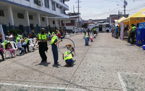 Jornada. En la cita, además, participaron otras unidades de la policía.
