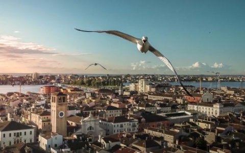 Autor: Alvise Bagagiolo