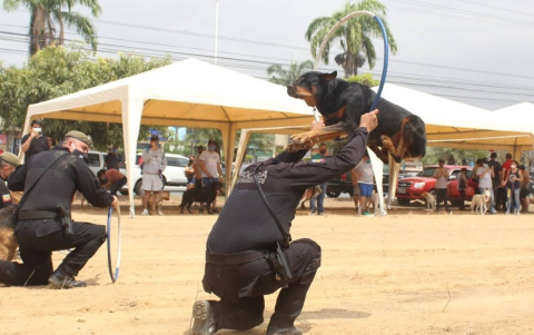 Durante la actividad, los canes saltaron y jugaron. Más de uno hizo maniobras que dejaron asombrados sobre todo a los niños.