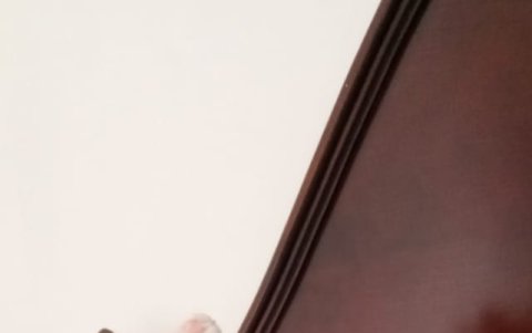 Encontrar un hogar a los rescatados es el compromiso de los rescatistas.