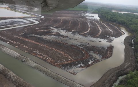 Aunque no hay sangre en en manglar, las heridas se ven reflejadas en las gigantescas escaras negras que se sientan sobre suelos terrosos.