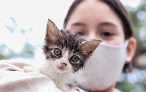 Participación. Diferentes familias acudieron a la feria. Se prevé una próxima el 15 de octubre.