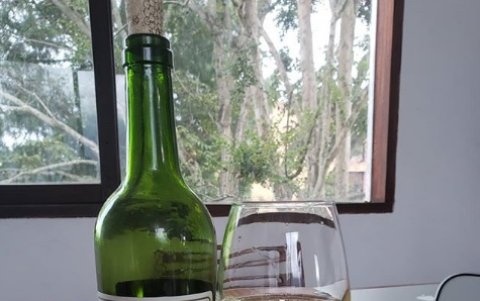 Los vinos de frutas no tradicionales han aumentado su índice de transacciones en los últimos dos años.