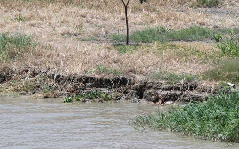 Inseguridad. Por las superficies de estos excedentes es posible caminar, lo que incrementa el riesgo de que ingresen por allí los delincuentes.