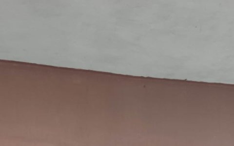 Consecuencia. Una funcionaria de la Gobernación del Guayas coloca el sello de clausura a uno de los 