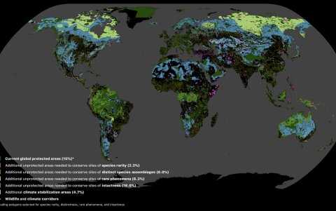 Áreas terrestres donde se necesitan acciones. En rosa, áreas para preservar especies raras.