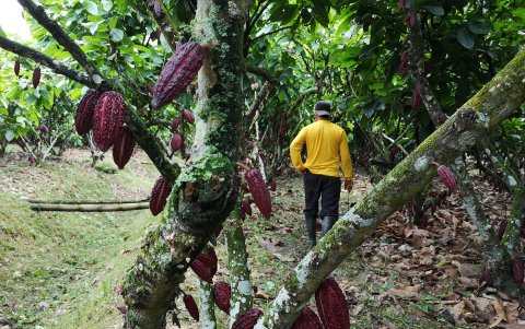 Las inversiones extranjeras han sido clave.