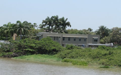 Ese es el entorno que rodea a algunas viviendas del sector.