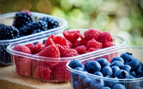 Incluya en su dieta el consumo de moras, uvas y arándanos