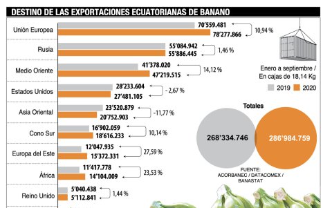 La demanda de la fruta en mercados internacionales.