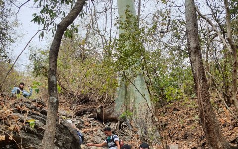 Un grupo de turistas realiza una excursión al cerro El Paraíso, en medio de Guayaquil.