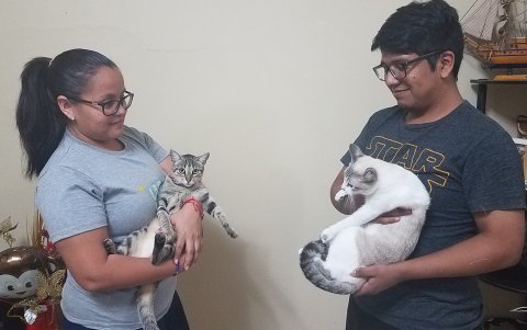 Cuando Pancita fue recogida para volver a su hogar, la relación con Gatúbela había vuelto a ser la de hermanas.