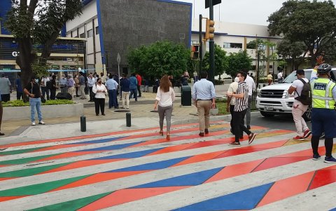 Los pasos cebra son diferentes: coloridos, inclusivos y llamativos.