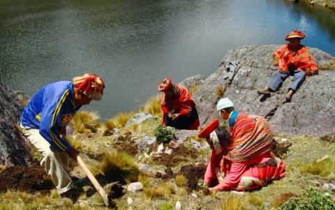 El festival de reforestación comienza la primera semana de diciembre y se extiende hasta marzo.
